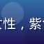 用户霓彩头像，女性，紫色调背景，时尚感